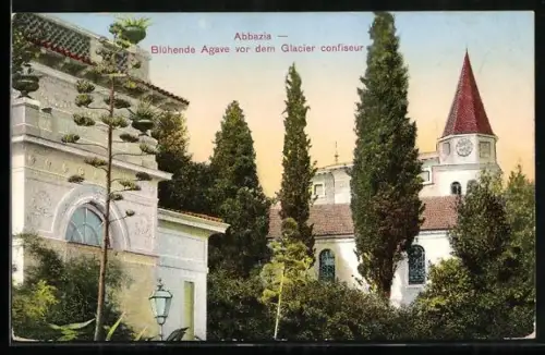 AK Abbazia, Blühende Agave vor dem Glacier confiseur
