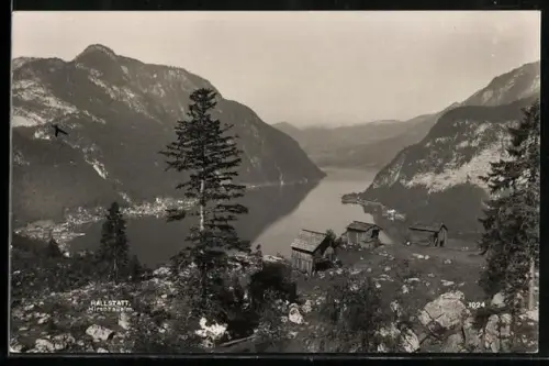 AK Hallstatt, Hirschaualm mit Blick auf Ort und See