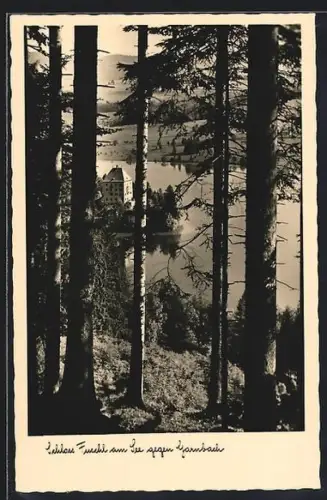 AK Fuschl am See, Schloss gegen Garnbach