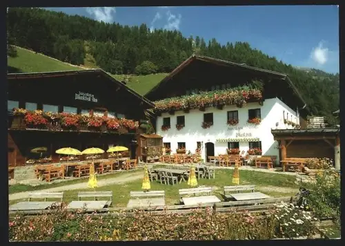 AK Neustift /Stubai, Gasthaus Pfurtschell-Alm Fam. Schöpf
