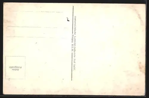 AK Fuschl am See, Teilansicht mit Schafberg, Fliegeraufnahme