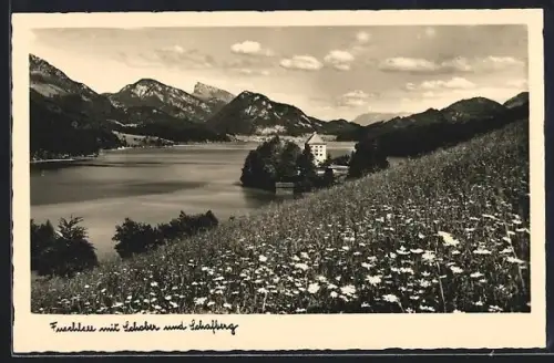 AK Fuschl am See, Panorama mit Schober und Schafberg