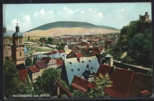 AK Miltenberg am Main, Stadtansicht mit Kirche und Main