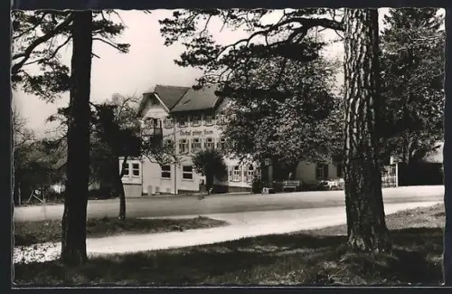 AK Hallwangen bei Freundenstadt, Gasthof Pension Grüner Baum, Inh. O. Geiser, Ansicht am Waldrand