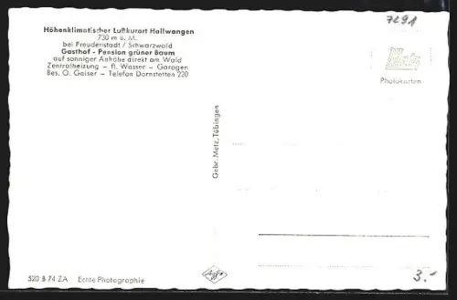 AK Hallwangen bei Freundenstadt, Gasthof Pension Grüner Baum, Inh. O. Geiser, Ansicht am Waldrand