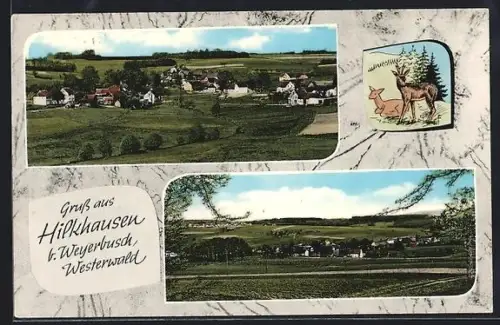 AK Hilkhausen b. Weyerbusch, Ortsansicht mit umliegenden Feldern, Westerwald