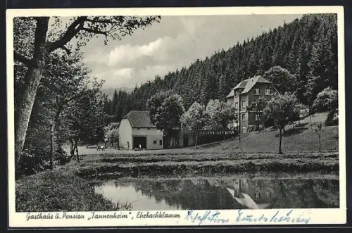AK Buchholz /Hunsrück, Gasthaus und Pension Tannenheim, Elzbachtalklamm