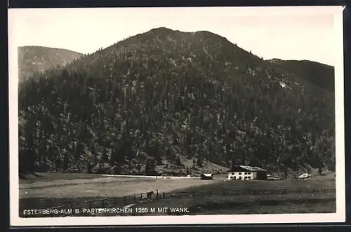 AK Partenkirchen, Esterberg-Alm mit Wank