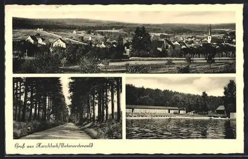 AK Herschbach /Unterwesterwald, Ortsansicht, Waldweg, Schwimmbad