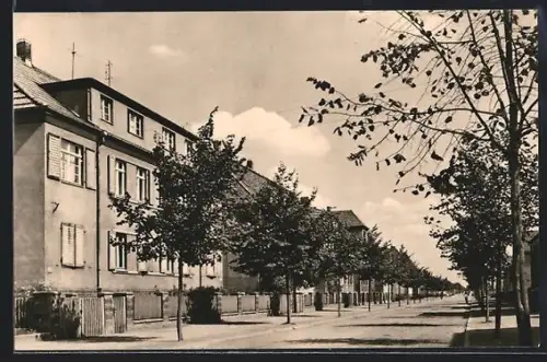 AK Haldensleben, Partie in der Karl-Marx-Strasse