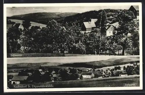 AK Sadisdorf b. Dippoldiswalde, Teilansicht vom Berghang aus