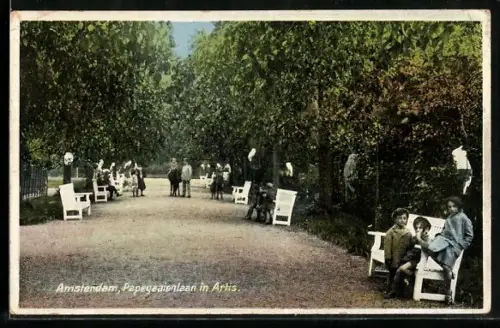 AK Amsterdam, Papegaaienlaan in Artis