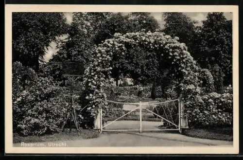 AK Utrecht, Rosarium