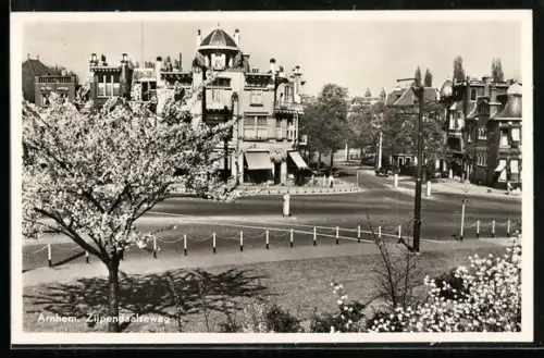 AK Arnhem, Zijpendaalseweg, Strassenpartie mit blühenden Bäumen