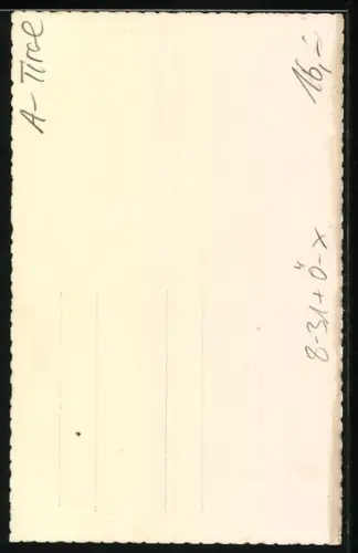 AK Fulpmes, Portrait P. Parigger, Heimschnitzer