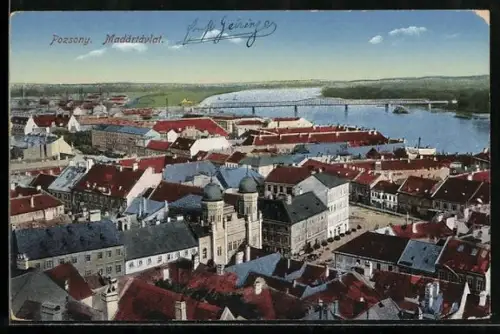 AK Pozsony, Madartavlat mit Synagoge