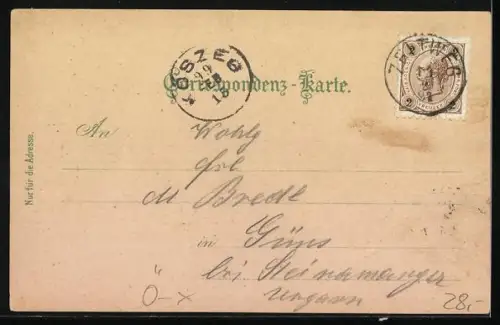 Lithographie Zeltweg /Steiermark, Gasthof Weitzer, Bahnhof, Hugo Hütte, Schule