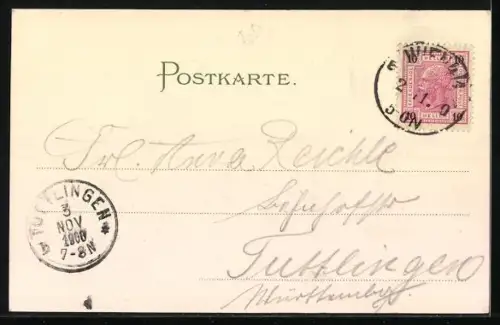 Lithographie Wien I, Parlament, Rathaus, Um 1900