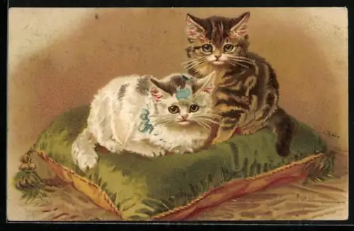 Lithographie Zwei kleine Katzen auf einem Samtkissen