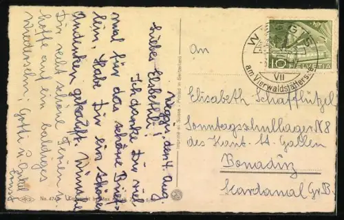 AK Katzen bei einer lustigen Dampferfahrt, vermenschlichte Tiere