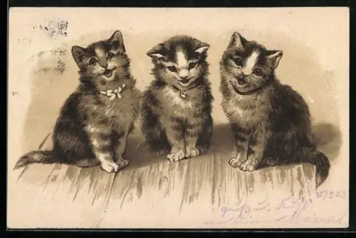 Lithographie drei süsse kleine Katzen