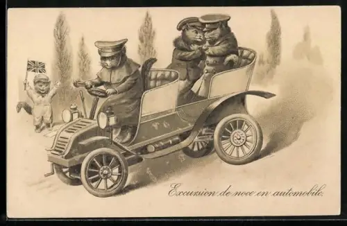 AK verliebtes Katzenpaar lässt sich in einem Auto chauffieren, vermenschlichte Tiere