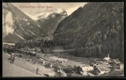 AK Bad Gastein, Grüner Baum im Kötschachtal