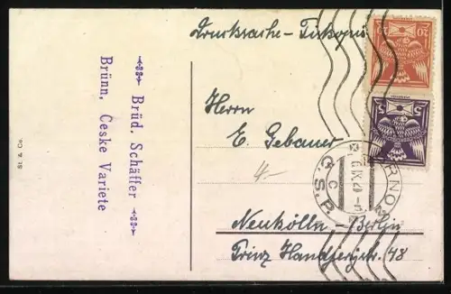 AK Brünn / Brno, Stadttheater, Künstlerhaus, Zollamt und Bienenhaus