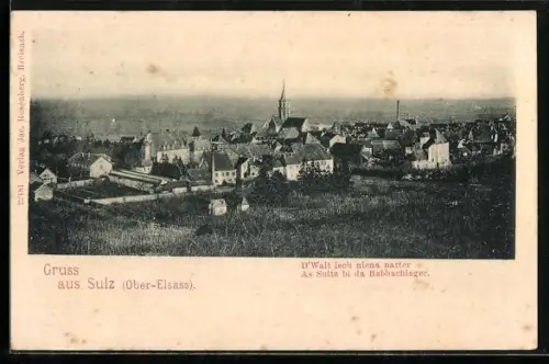 AK Sulz, Vue Générale