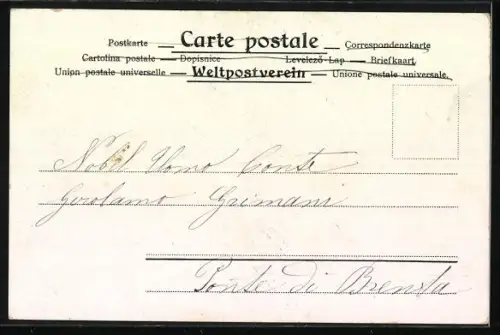 Künstler-AK Katzendame mit Buch, Kater mit Zwicker