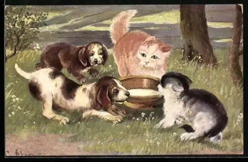 AK Zwei Junge und zwei Katzen streiten sich an einem Wassertrog