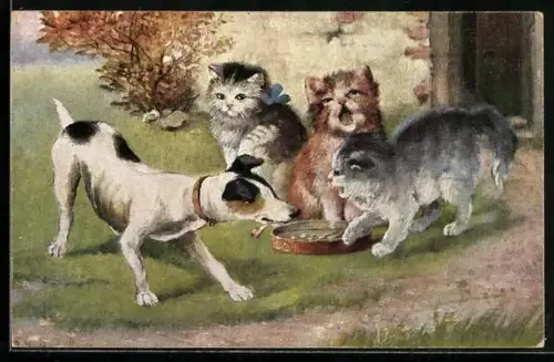 AK Drei junge Katzen verteidigen ihr Futter gegen einen Hund