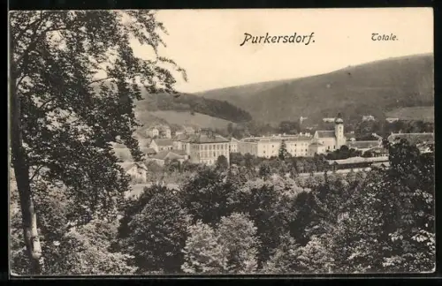 AK Purkersdorf, Totalansicht mit Blick über den Wald