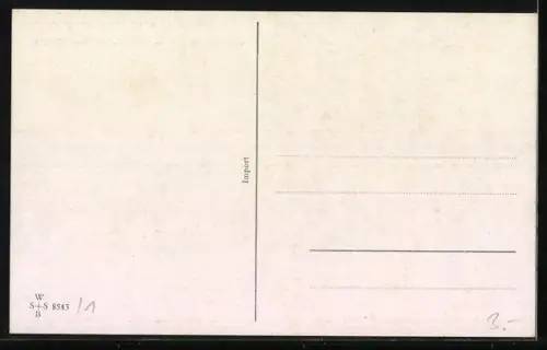 AK Der erste Flug einer Katze, vermenschlichte Tiere