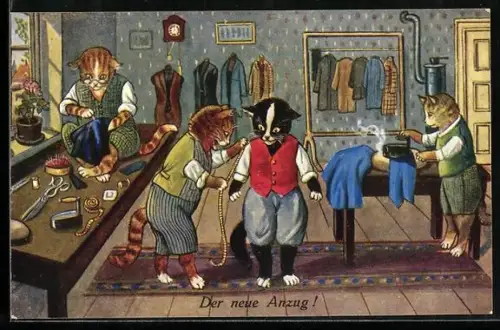 AK vermenschlichter Kater lässt sich beim Schneider einen Anzug anfertigen