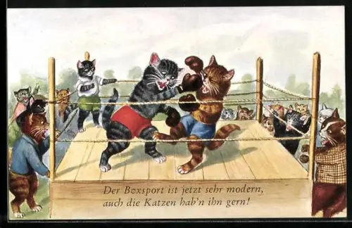 AK Zwei Kater im Boxring, vermenschlichte Tiere