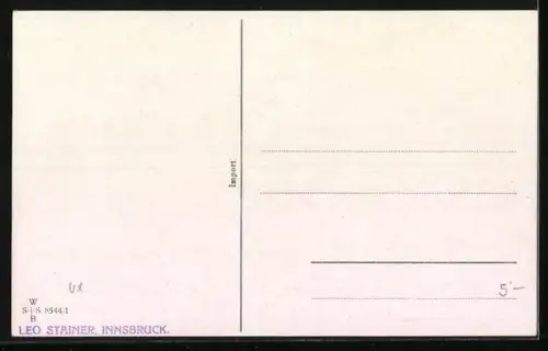 AK Zwei Kater im Boxring, vermenschlichte Tiere