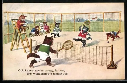 AK Katzen spielen Tennis
