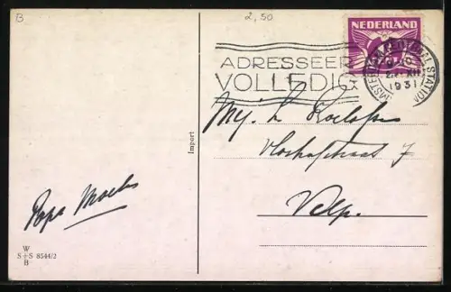 AK Katzen spielen Tennis