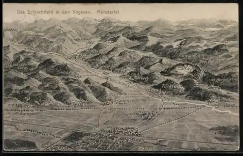 AK Colmar, Totalansicht vom Münstertal