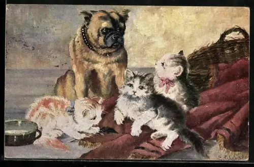 AK Hund mit kleinen Kätzchen