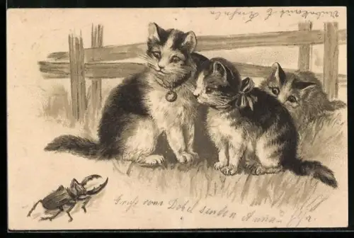 AK Katzen bestaunen einen Hirschkäfer