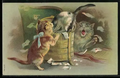 AK Katzen durchwühlen die Post