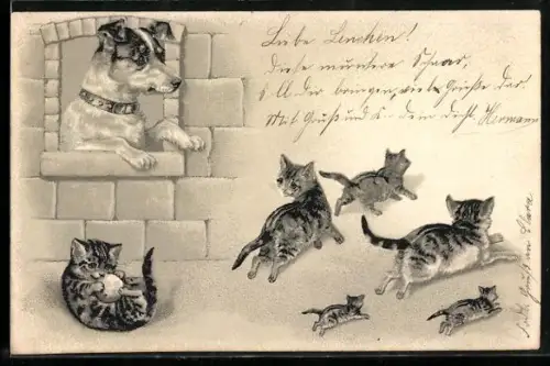 AK Hund und fliehende Katzenbande