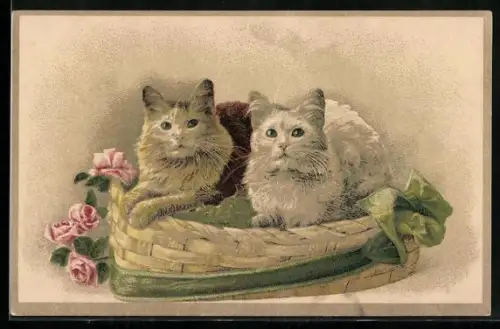 Lithographie Zwei Katzen mit blauen Augen in einem Korb