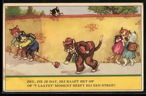 AK freche Katzenjungen erlauben sich einen Streich mit einem Katzenmann und Geldbörse an der Schnur