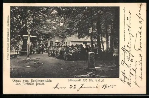 AK Brotterode, Restaurant Dreiherrenstein von Ferdinand Brandt, Partie von der Terrasse