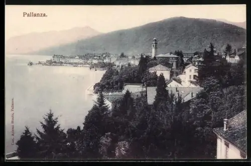 AK Pallanza, Blick über Bäume zum Ort am Lago Maggiore