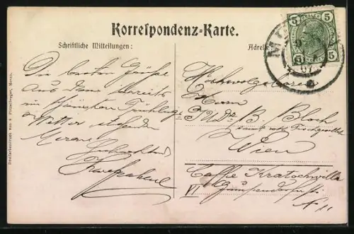 Künstler-AK Meran, Blick zum Palast-Hotel, Bes. Franz Leibl