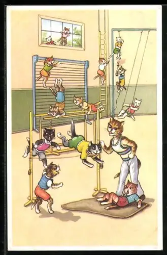 AK Gerangel unter Katzenkindern beim Sportunterricht, vermenschlichte Tiere